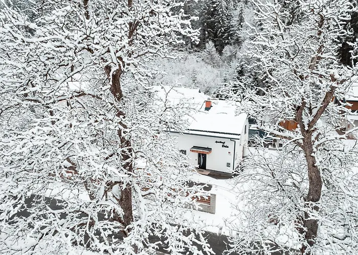 Apartmaji Enia Ratece-planica, Apartment *